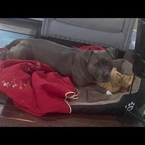 Meet your Posher, Latherio